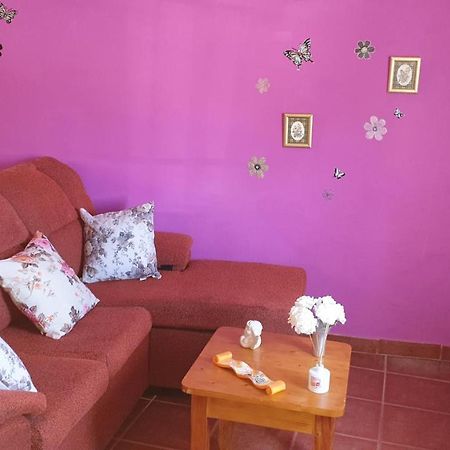 Pequeno Estudio Apartamento Granadilla De Abona Exterior foto